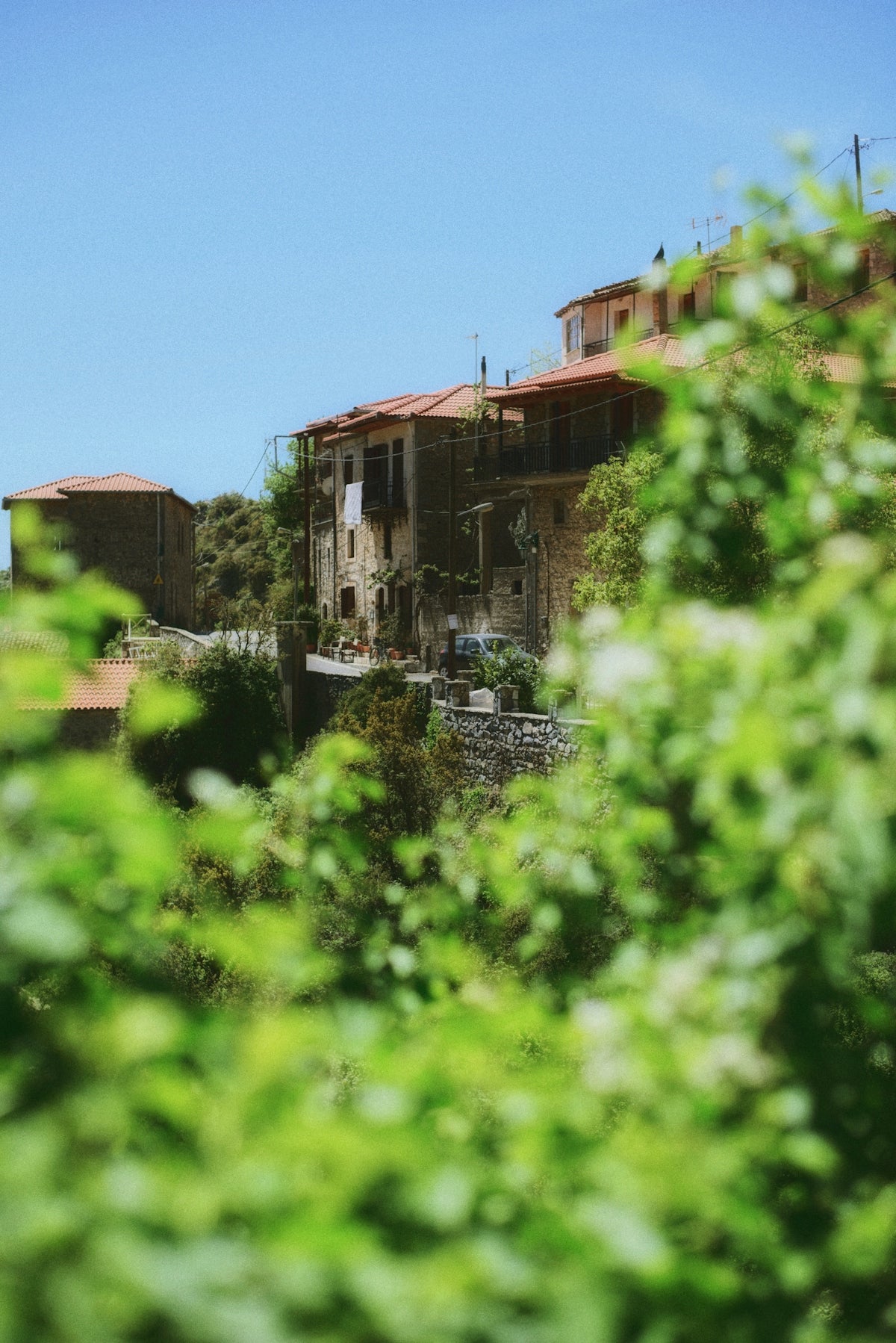 a view of a building through the trees