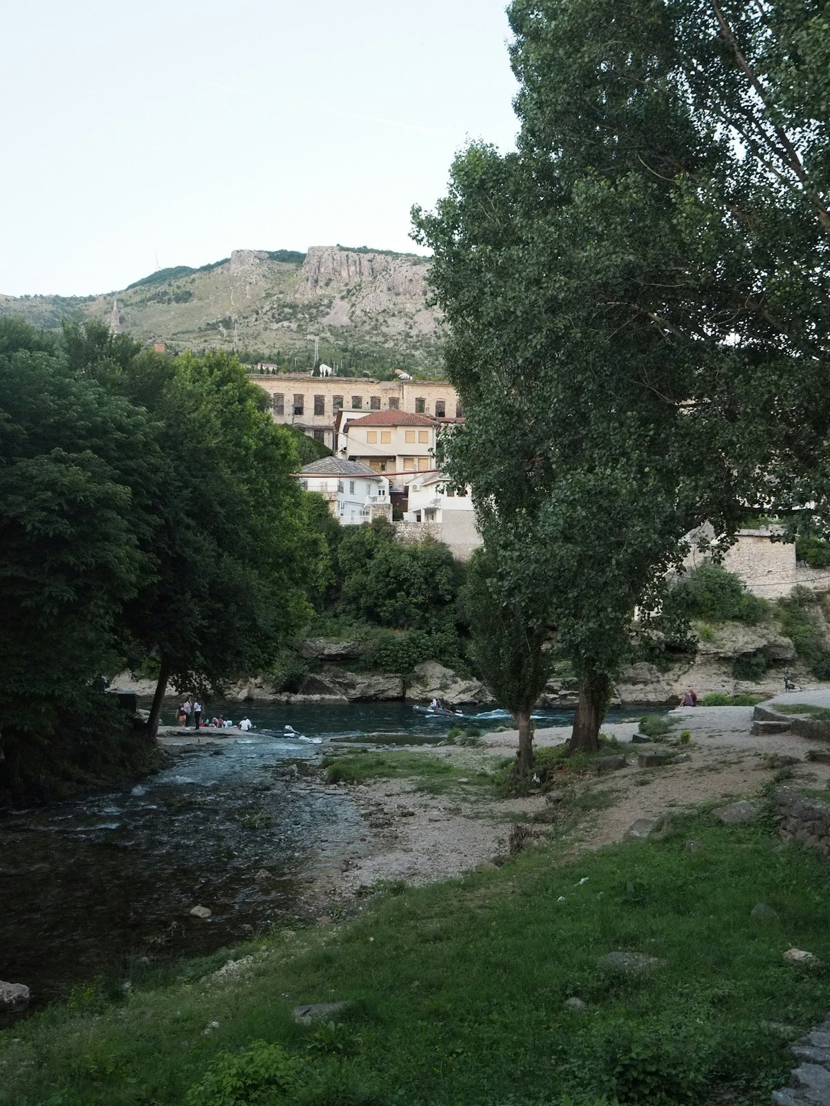 A river running through a lush green forest